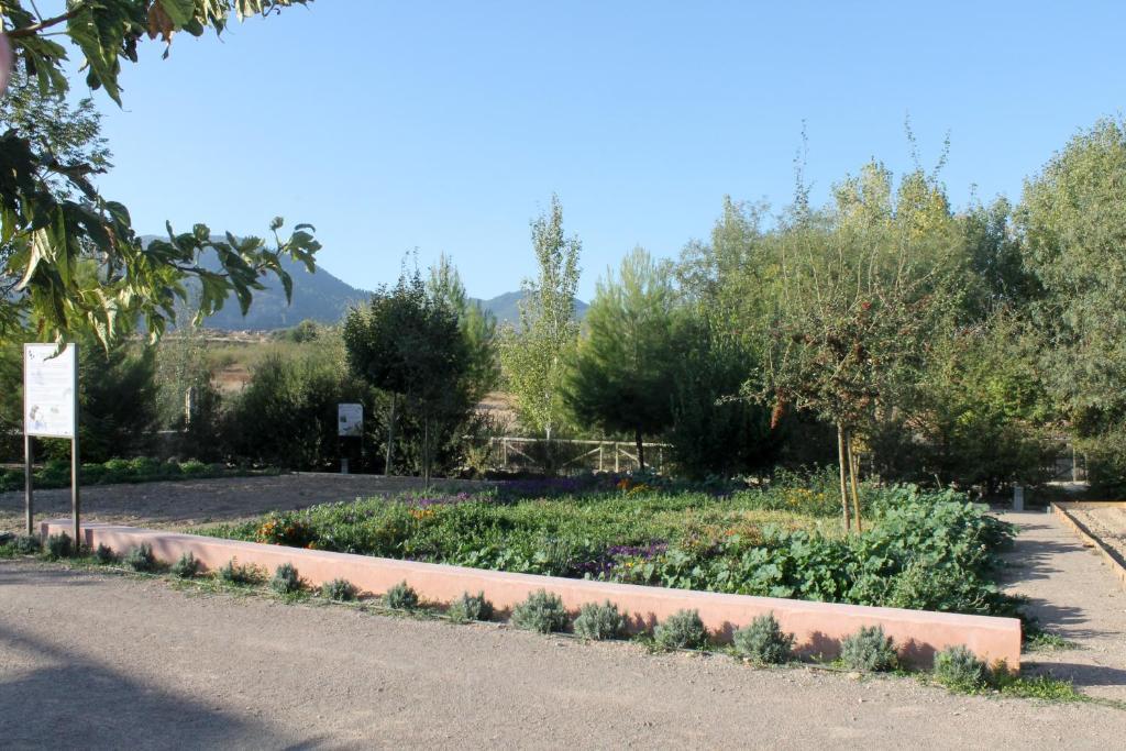 Centro de Agroecologia y Medio Ambiente de Murcia Bullas Habitación foto